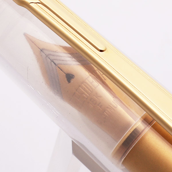 Platinum President Fountain Pen - Clear Demonstrator, Gold